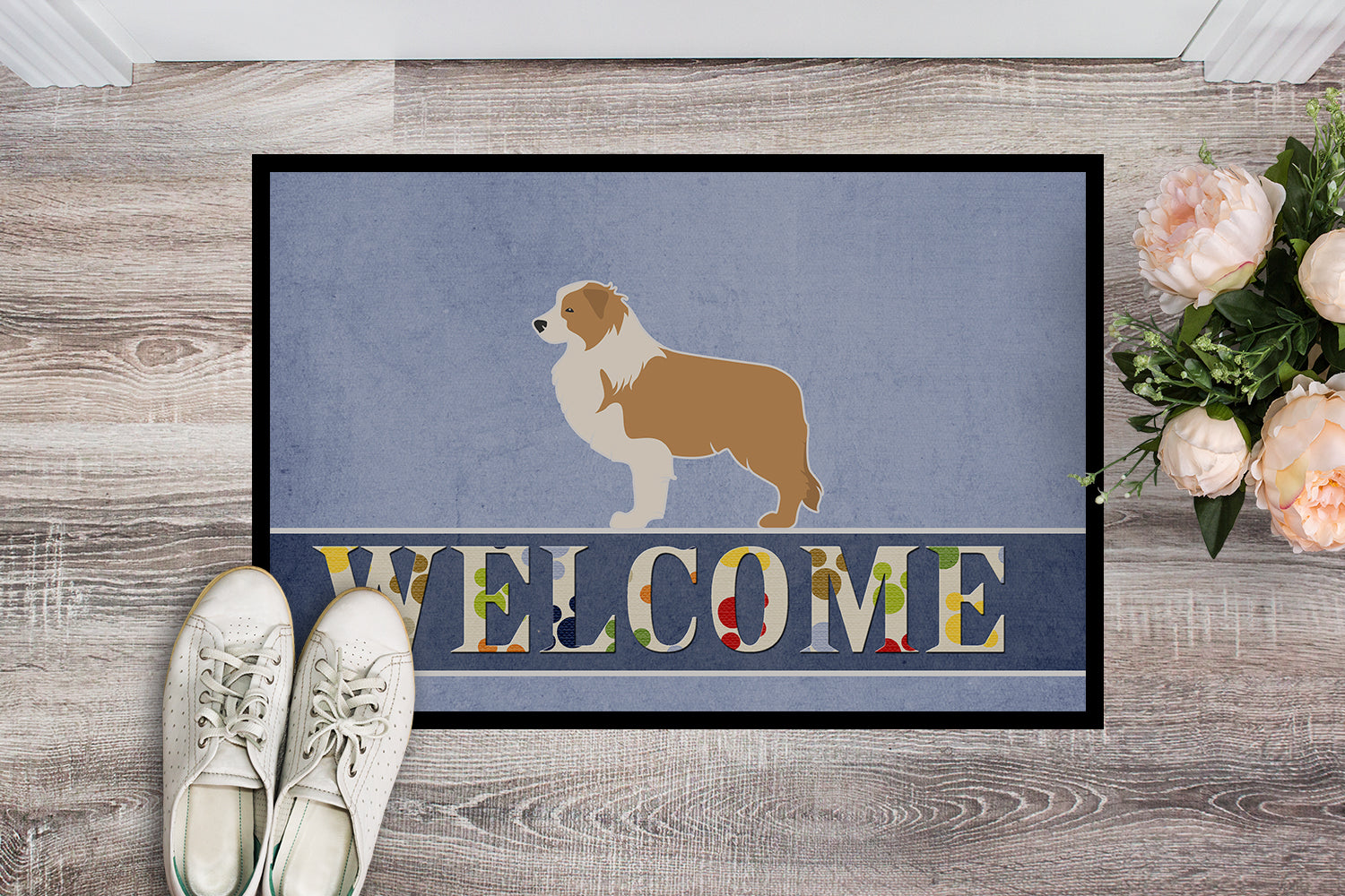Red Border Collie Welcome Indoor or Outdoor Mat 18x27 BB5526MAT - the-store.com