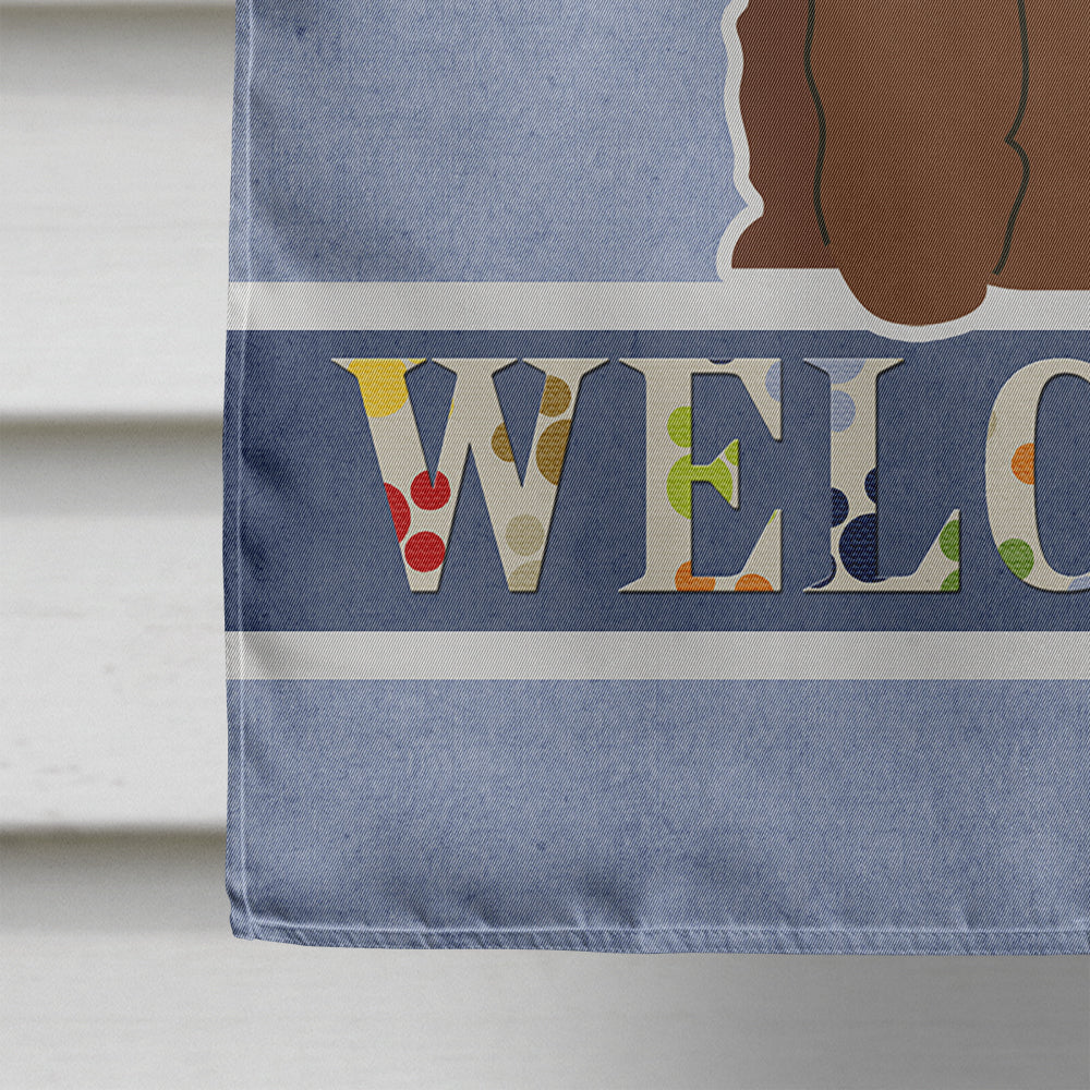 Irish Water Spaniel Welcome Flag Canvas House Size BB5644CHF  the-store.com.