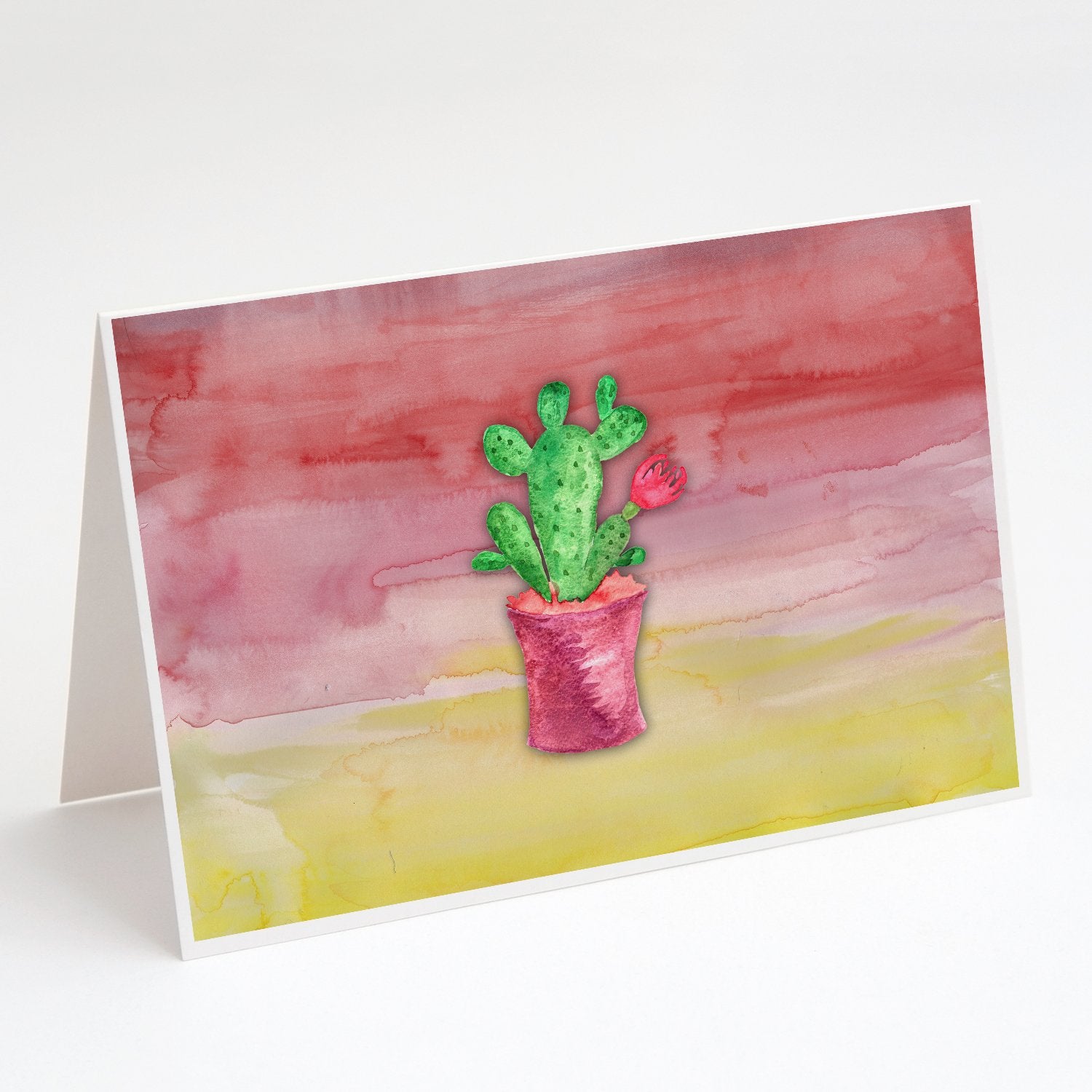 Buy this Flowering Cactus Watercolor Greeting Cards and Envelopes Pack of 8
