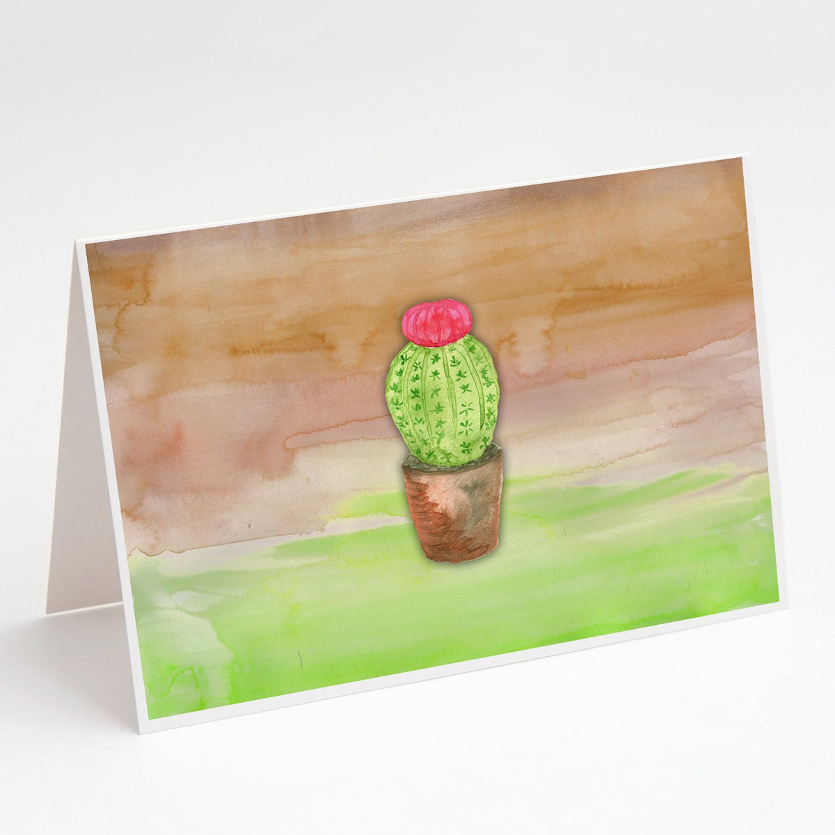 Buy this Cactus Green and Brown Watercolor Greeting Cards and Envelopes Pack of 8