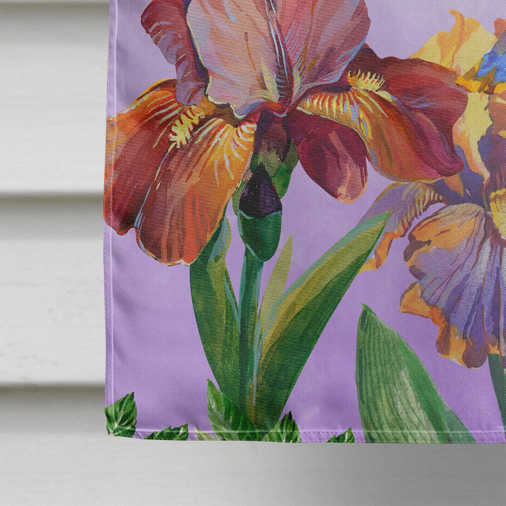 Purple and Yellow Iris Flag Canvas House Size BB7445CHF  the-store.com.