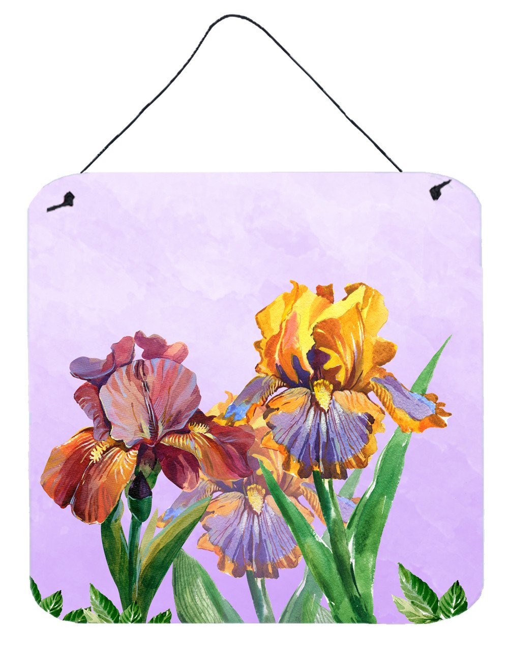 Purple and Yellow Iris Wall or Door Hanging Prints BB7445DS66 by Caroline&#39;s Treasures