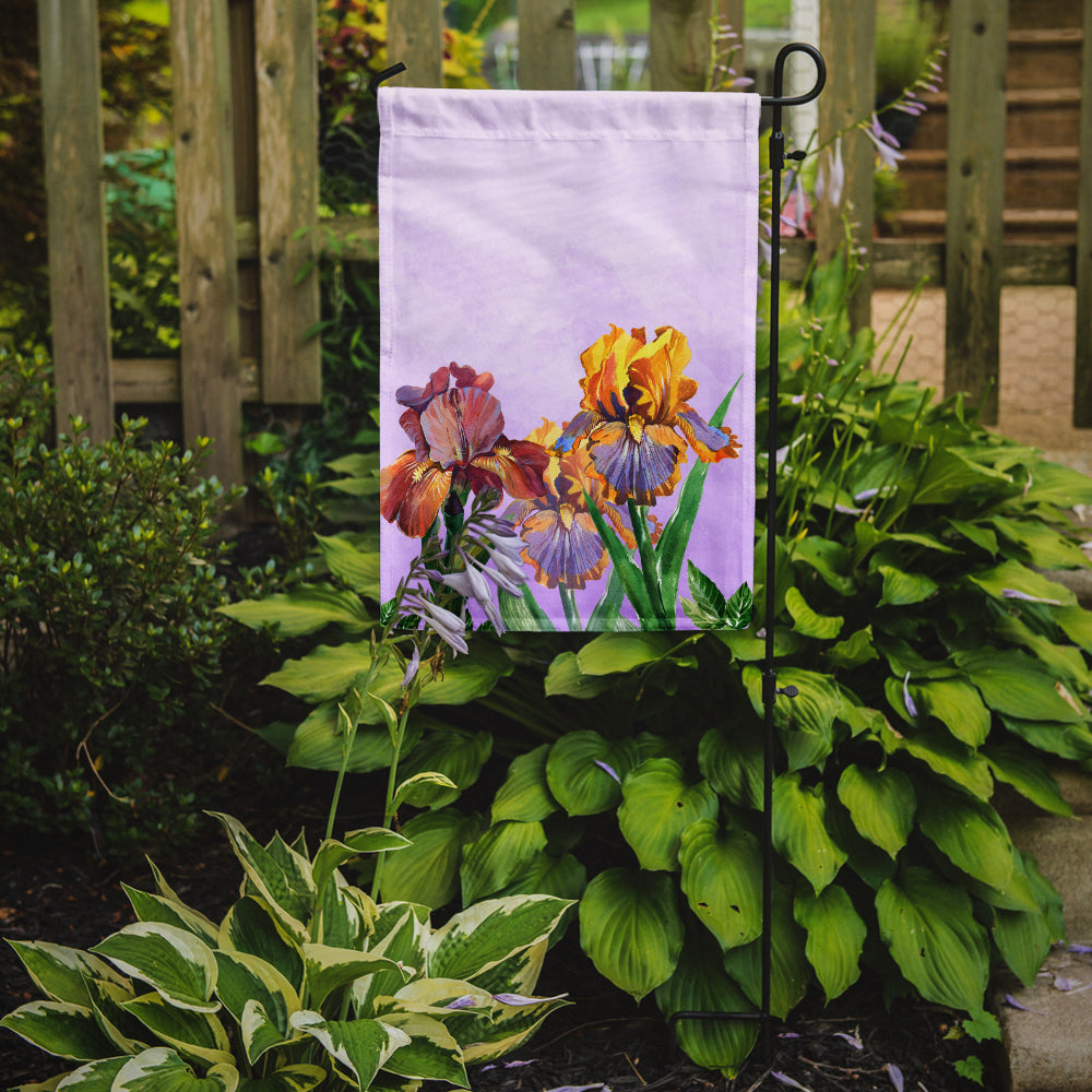 Purple and Yellow Iris Flag Garden Size BB7445GF