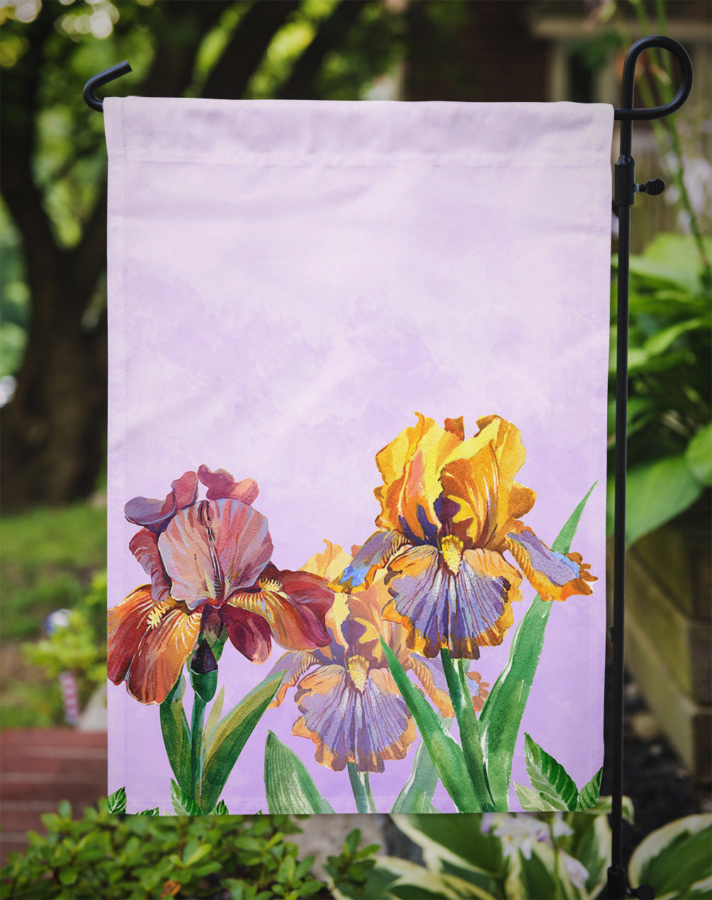Purple and Yellow Iris Flag Garden Size BB7445GF