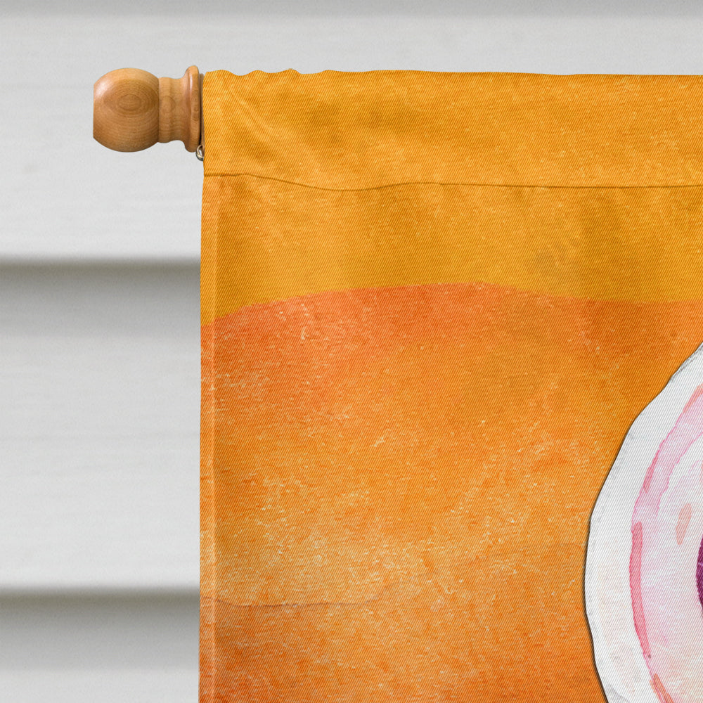Halloween Eye Ball Lollipop Flag Canvas House Size BB7467CHF