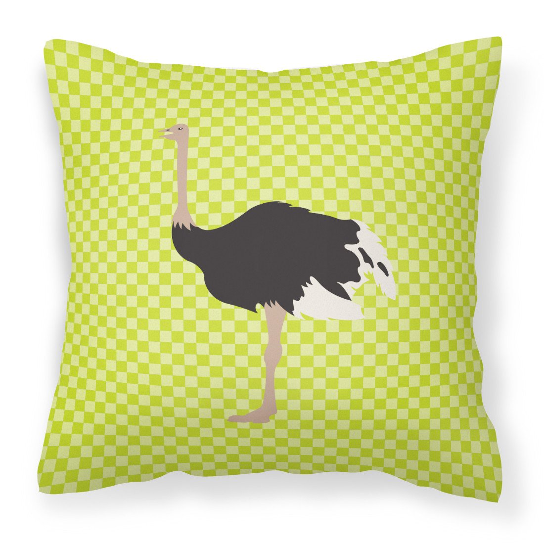 Common Ostrich Green Fabric Decorative Pillow BB7750PW1818 by Caroline's Treasures
