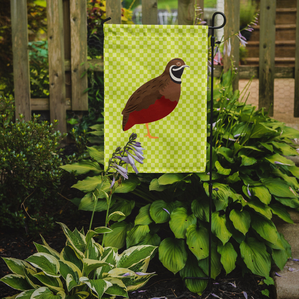 Chinese Painted or King Quail Green Flag Garden Size  the-store.com.