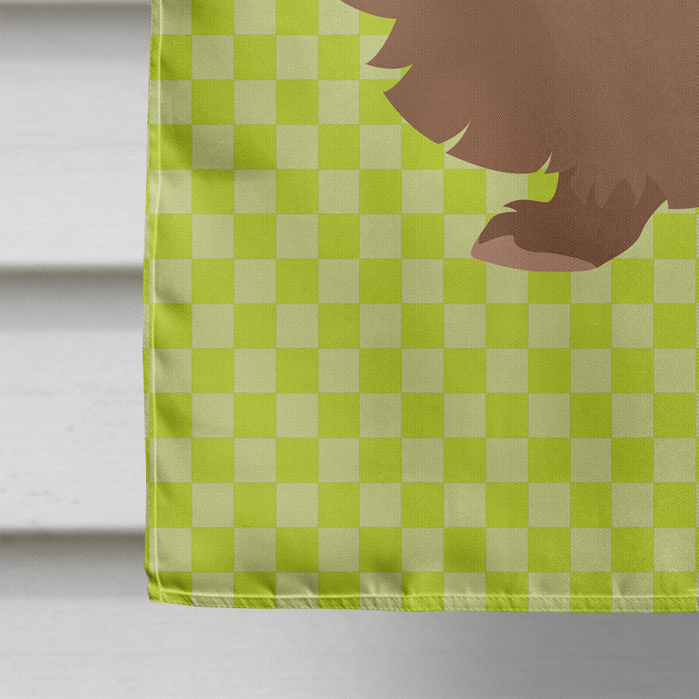 Lionhead Rabbit Green Flag Canvas House Size BB7786CHF