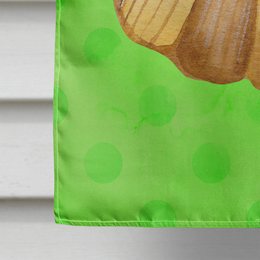Sea Shell Green Polkadot Flag Canvas House Size BB8170CHF