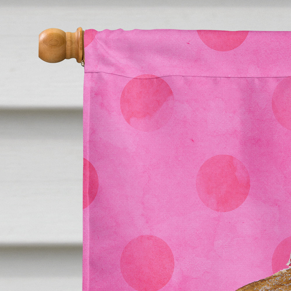 Sea Shell Pink Polkadot Flag Canvas House Size BB8174CHF  the-store.com.