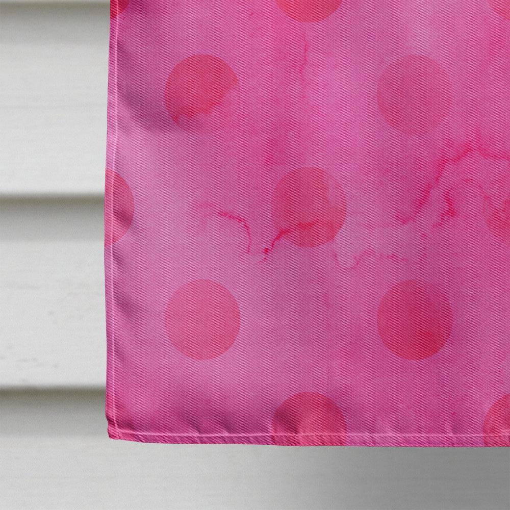 Sunglasses Pink Polkadot Flag Canvas House Size BB8179CHF