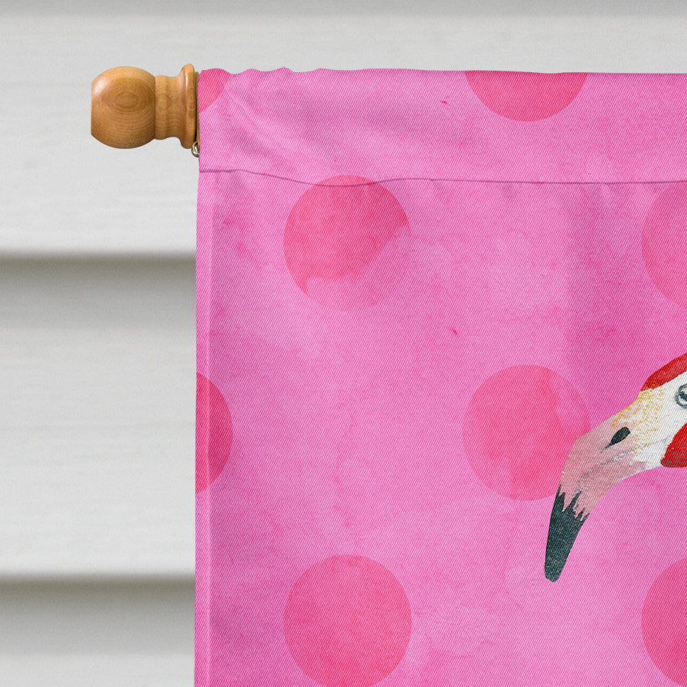 Flamingo Pink Polkadot Flag Canvas House Size BB8189CHF