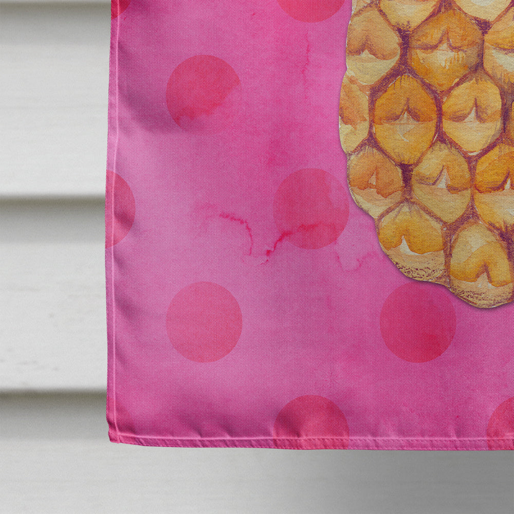 Pineapple Pink Polkadot Flag Canvas House Size BB8194CHF