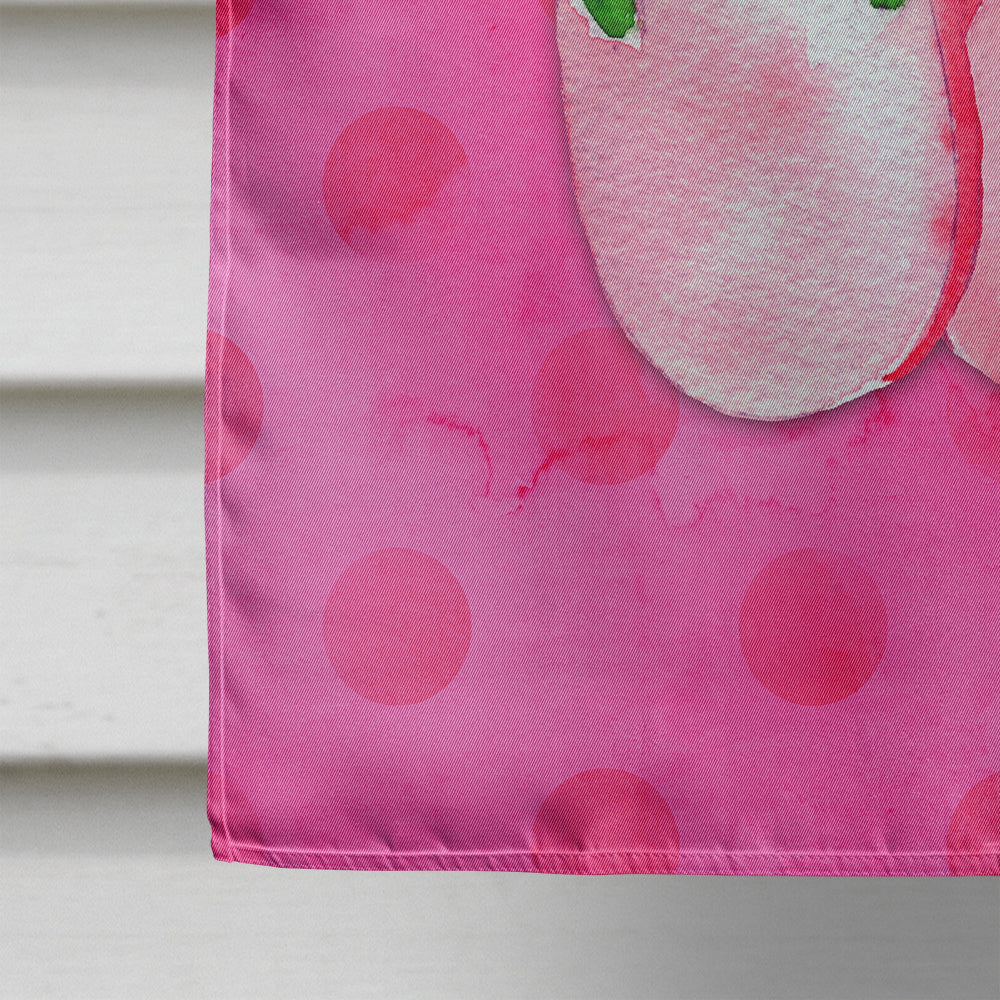 Pink Flip Flops Pink Polkadot Flag Canvas House Size BB8224CHF