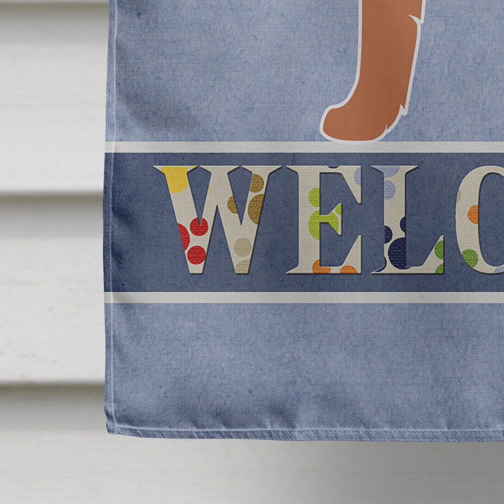 Irish Terrier Welcome Flag Canvas House Size BB8276CHF  the-store.com.