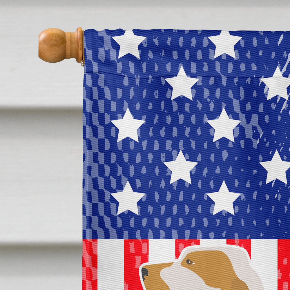 Ariege Pointer American Flag Canvas House Size BB8353CHF