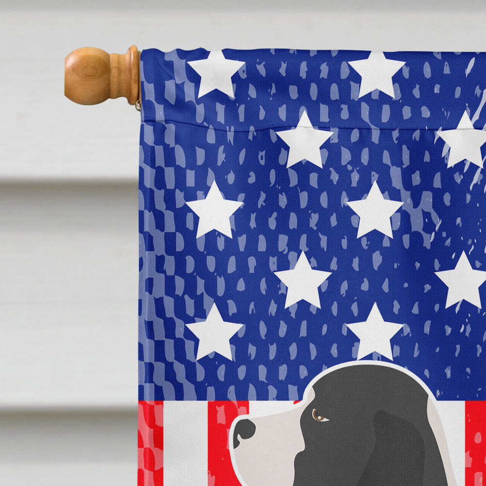 English Springer Spaniel American Flag Canvas House Size BB8354CHF  the-store.com.