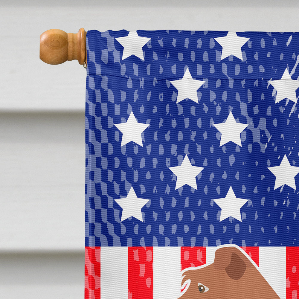 Irish Terrier American Flag Canvas House Size BB8357CHF