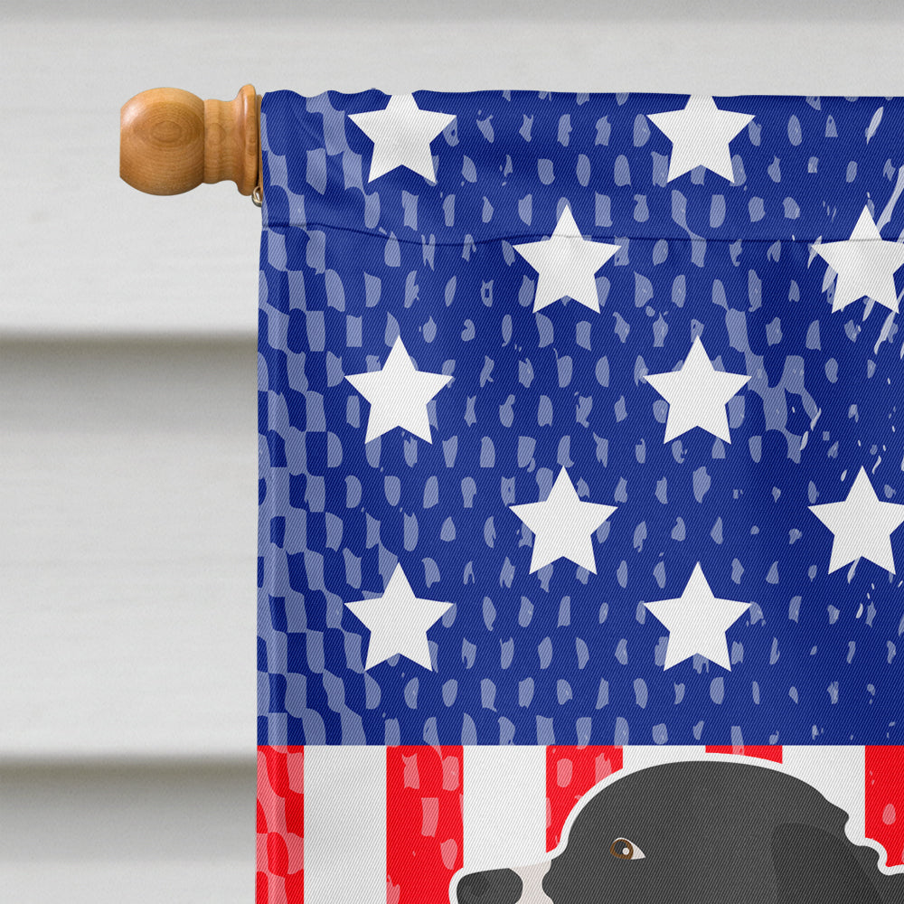 Wetterhoun Frisian Water Dog American Flag Canvas House Size BB8363CHF
