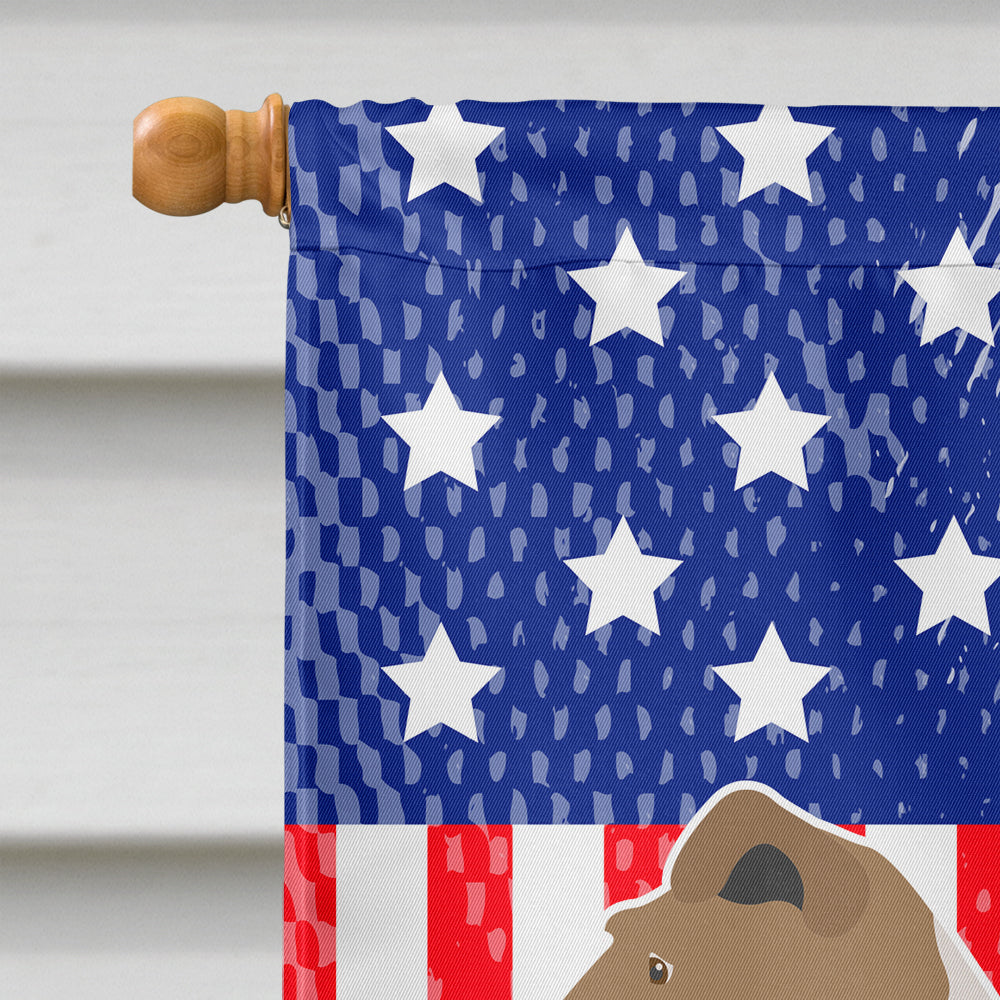 Wire Fox Terrier American Flag Canvas House Size BB8365CHF