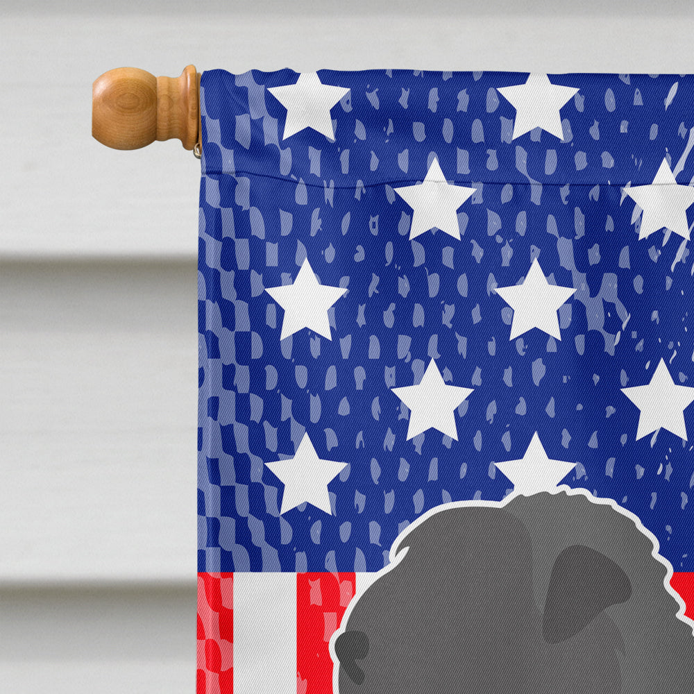 Black Russian Terrier American Flag Canvas House Size BB8374CHF