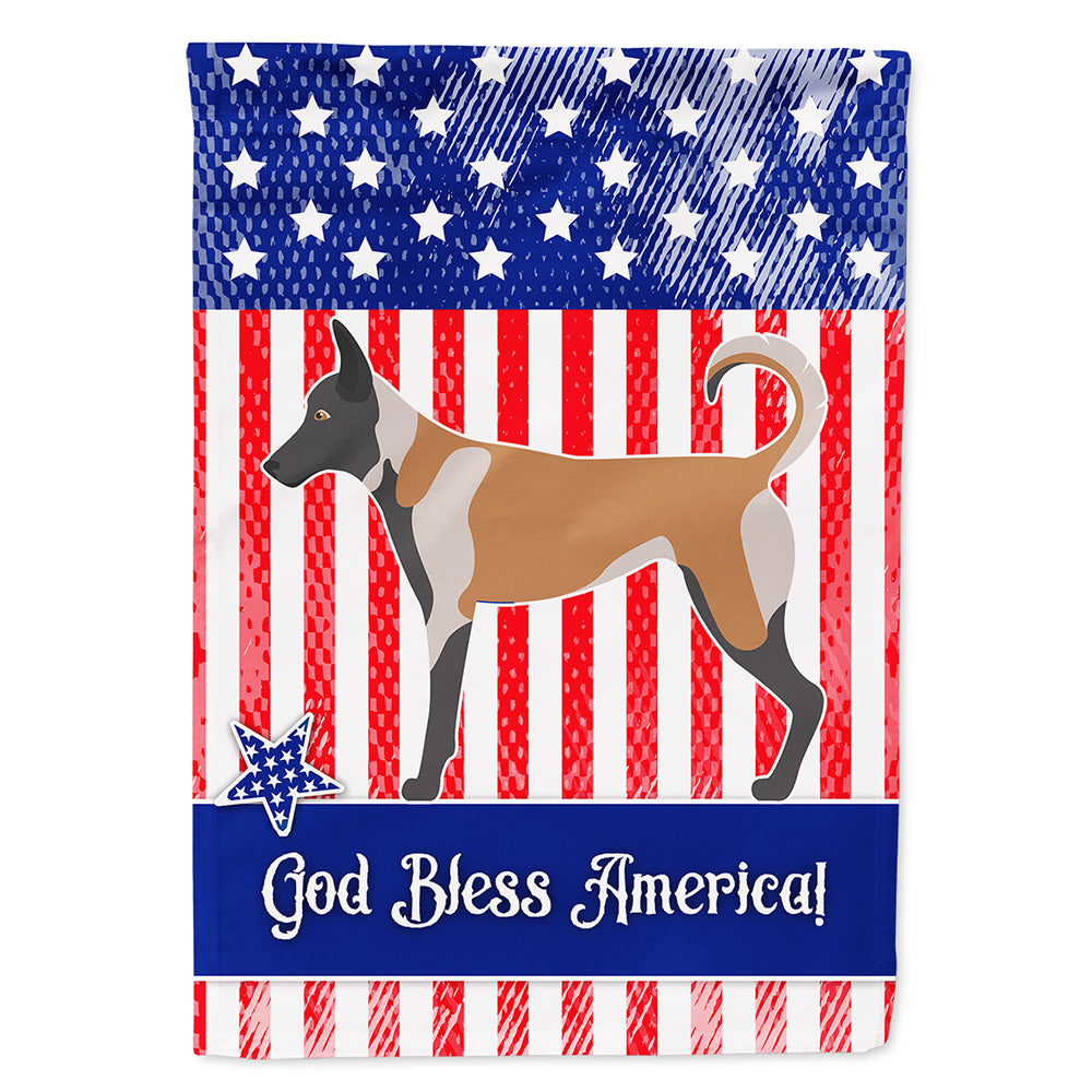 Malinois American Flag Canvas House Size BB8380CHF  the-store.com.