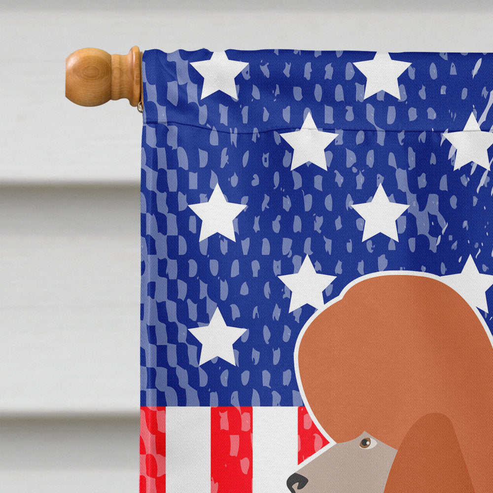 Royal Poodle American Flag Canvas House Size BB8392CHF  the-store.com.