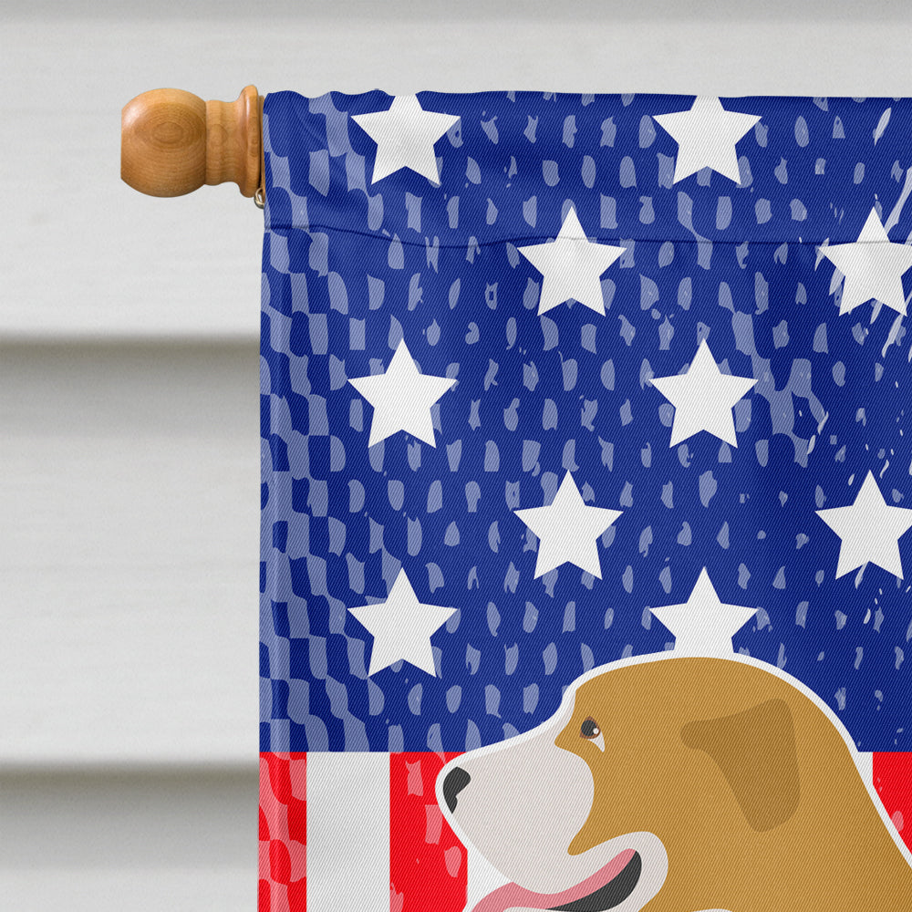 Belgium Mastiff American Flag Canvas House Size BB8408CHF