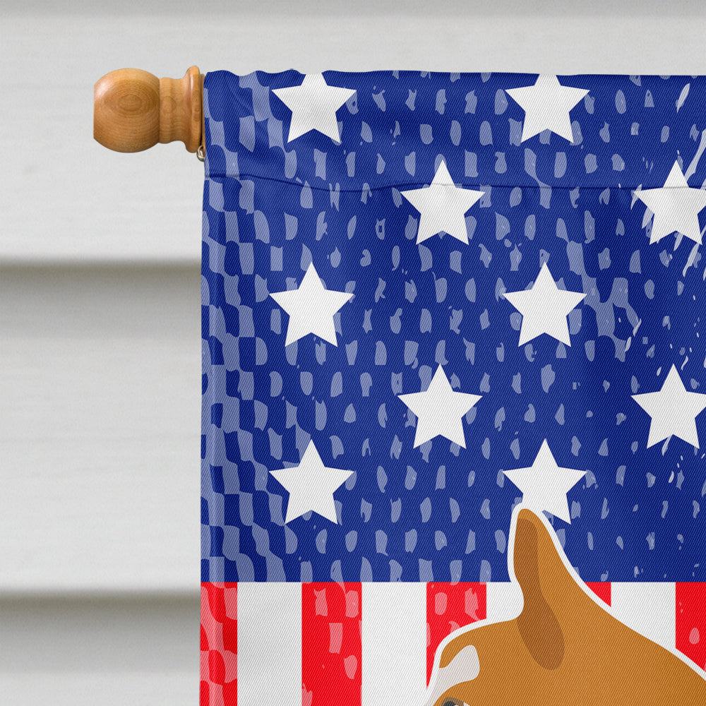 Icelandic Sheepdog American Flag Canvas House Size BB8421CHF