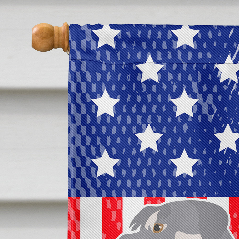Schnauzer American Flag Canvas House Size BB8431CHF