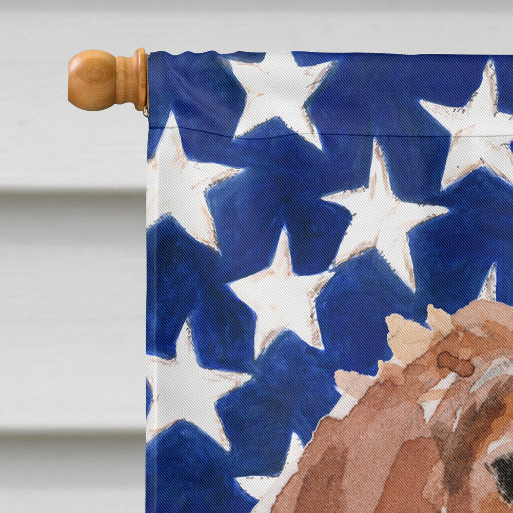 Brittany Spaniel Patriotic Flag Canvas House Size BB9364CHF  the-store.com.