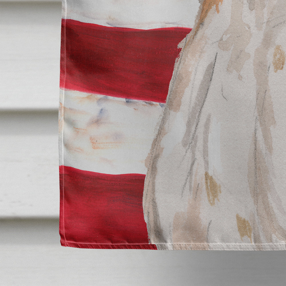 Brittany Spaniel Patriotic Flag Canvas House Size BB9364CHF