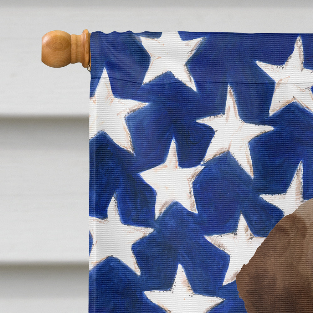 Chocolate Labrador Patriotic Flag Canvas House Size BB9365CHF