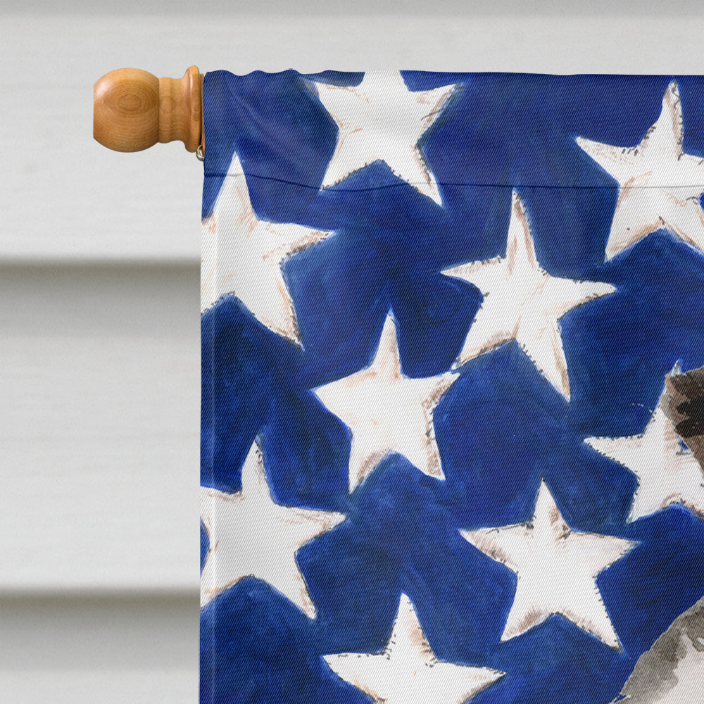 Border Collie Patriotic Flag Canvas House Size BB9373CHF  the-store.com.