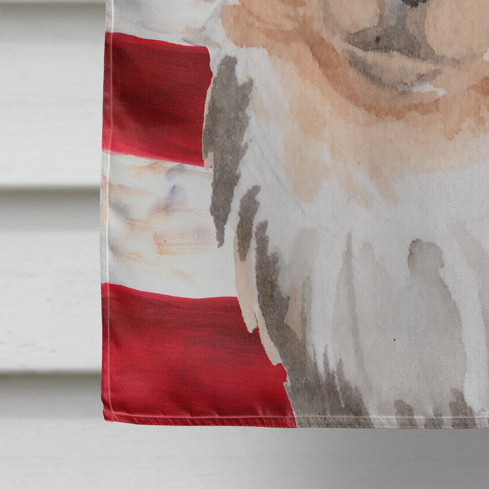 Long Haired Chihuahua Patriotic Flag Canvas House Size BB9389CHF  the-store.com.