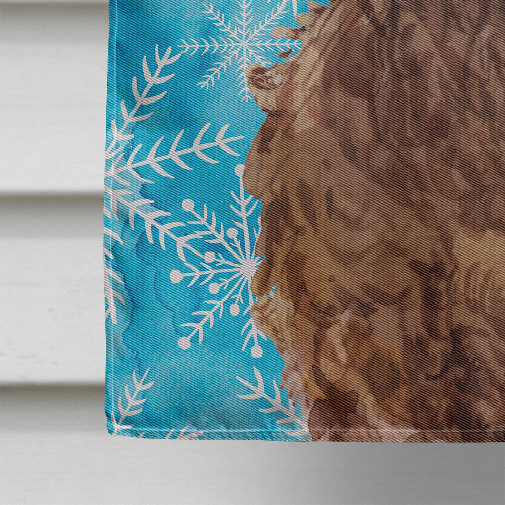 Brown Cockapoo Winter Flag Canvas House Size BB9444CHF  the-store.com.