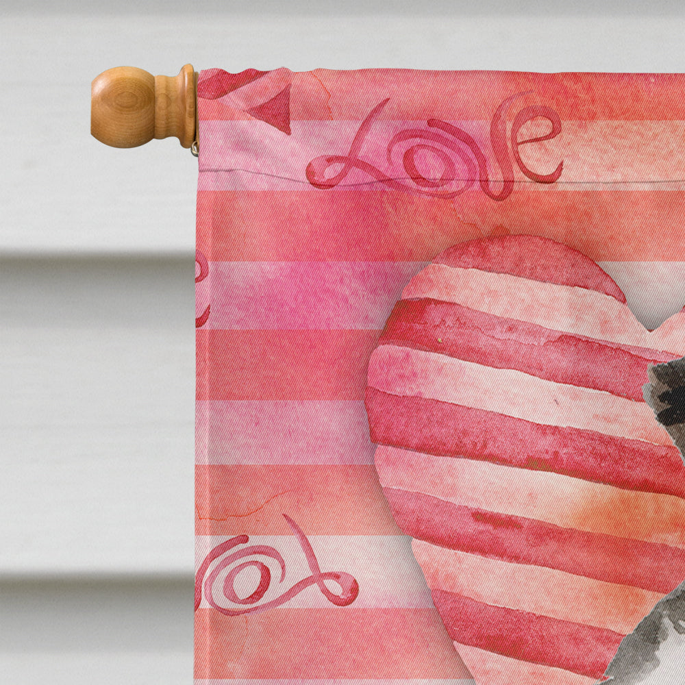 Border Collie Love Flag Toile Taille Maison BB9478CHF