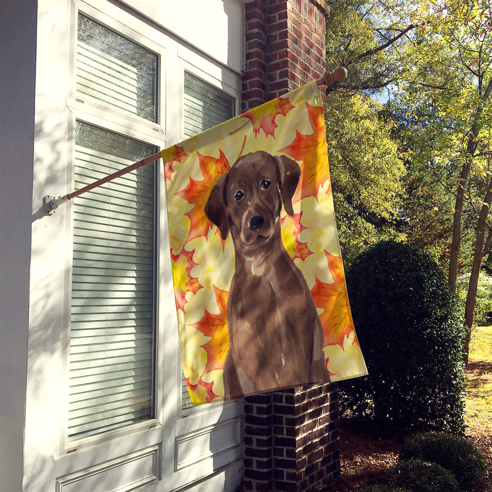 Chocolate Labrador Fall Flag Canvas House Size BB9505CHF