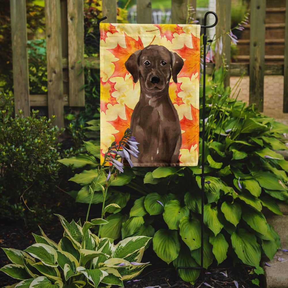 Chocolate Labrador Fall Flag Garden Size BB9505GF