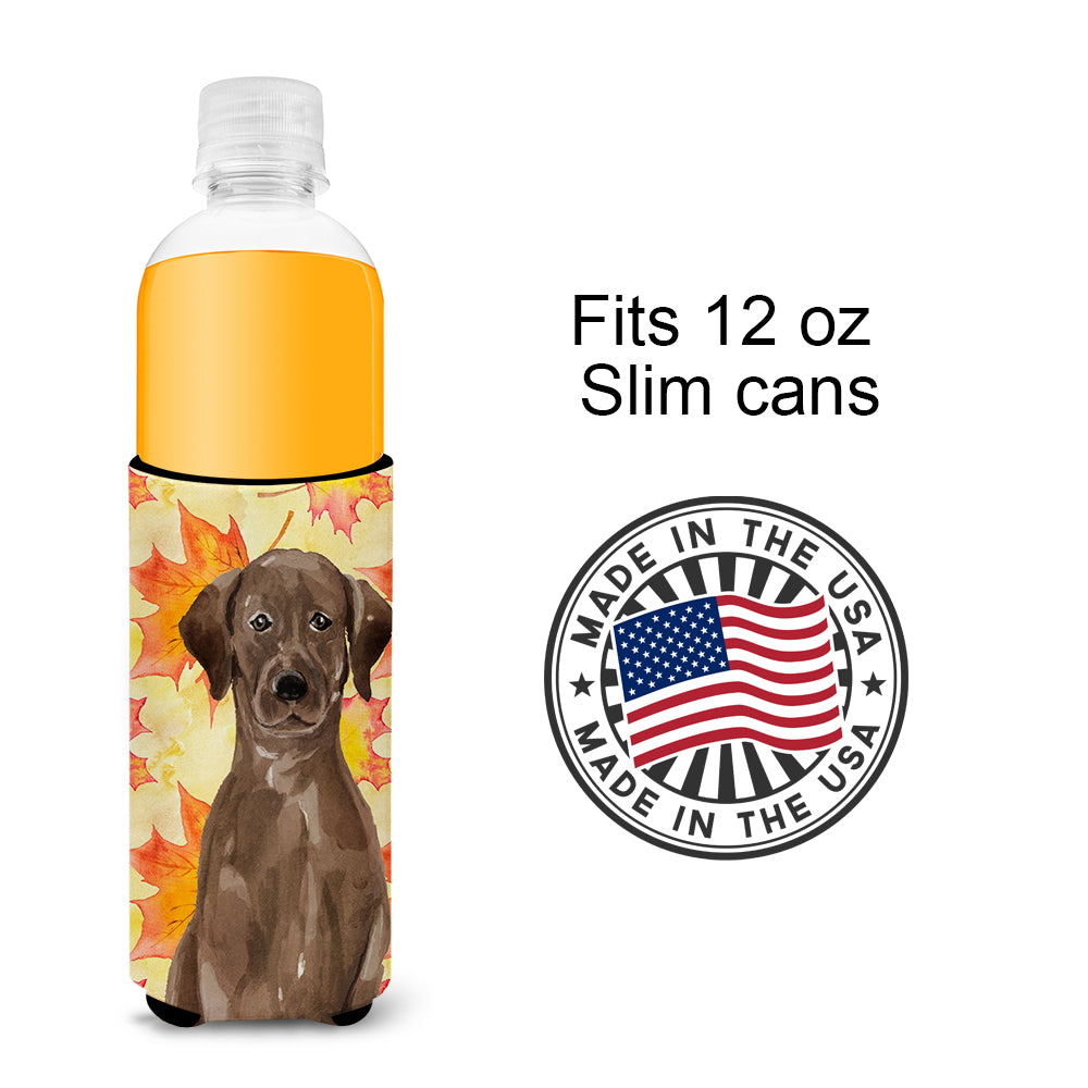 Chocolate Labrador Fall  Ultra Hugger for slim cans BB9505MUK  the-store.com.