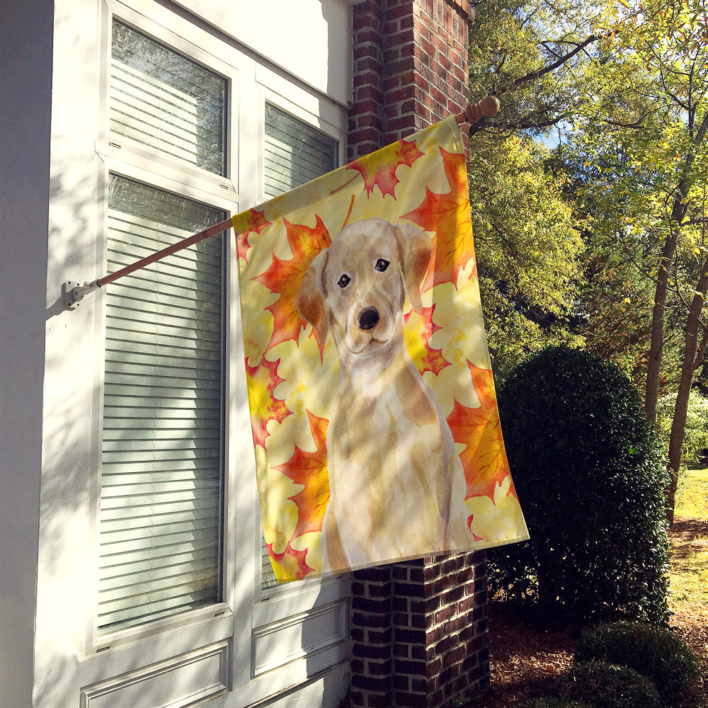 Yellow Labrador Fall Flag Canvas House Size BB9506CHF