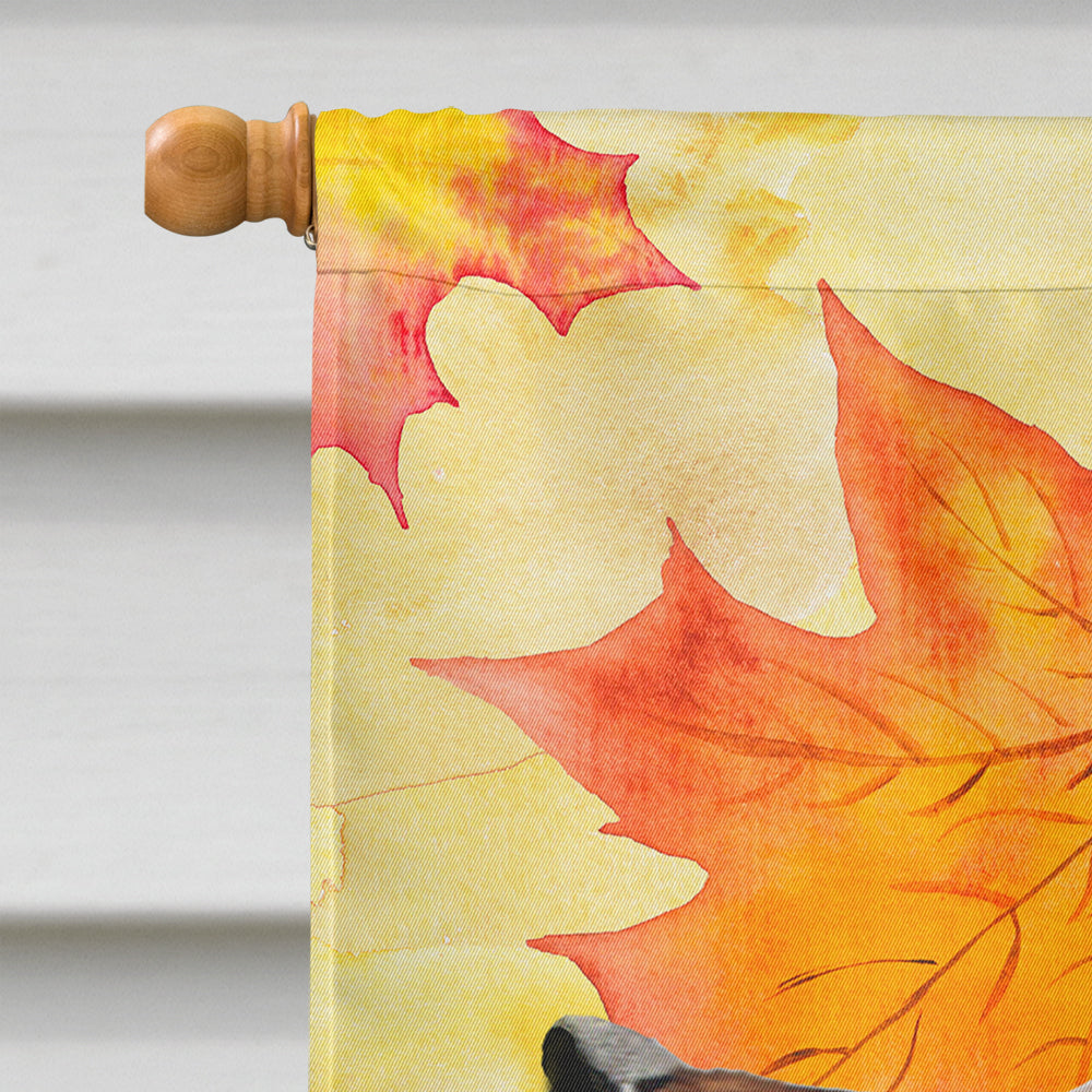 Red Tan Dachshund Fall Flag Canvas House Size BB9511CHF  the-store.com.