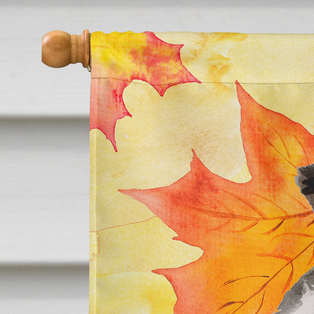 Border Collie Fall Flag Canvas House Size BB9513CHF  the-store.com.