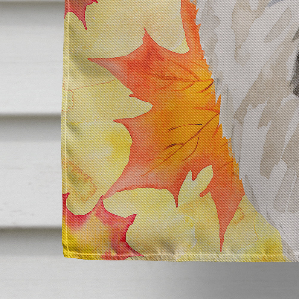 Border Collie Fall Flag Canvas House Size BB9513CHF  the-store.com.