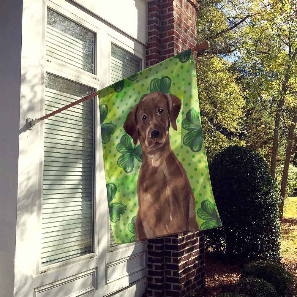 Chocolate Labrador St. Patrick's Flag Canvas House Size BB9540CHF