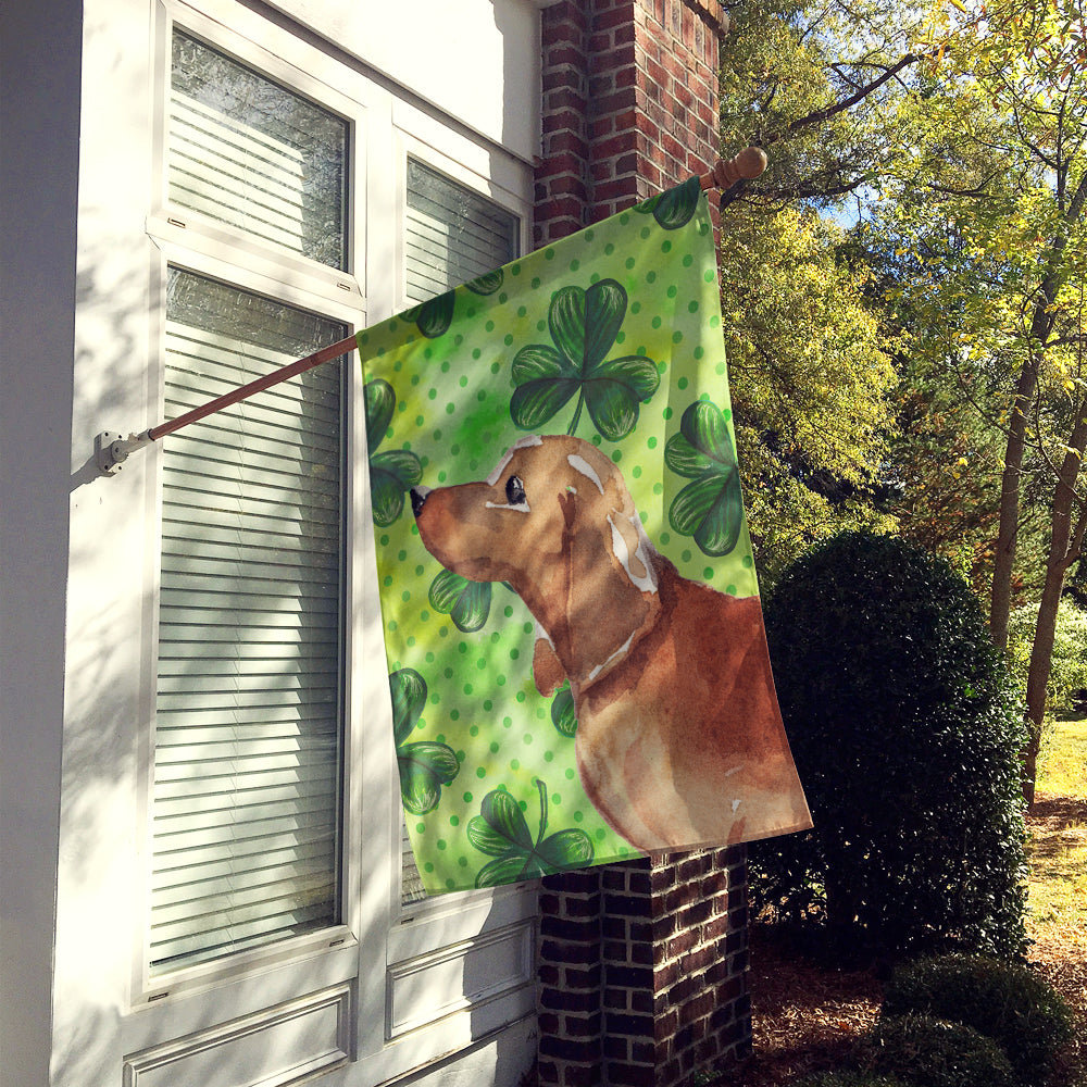 Caroline's Treasures Red Tan Dachshund St. Patrick's Flag Canvas House Size BB9546CHF