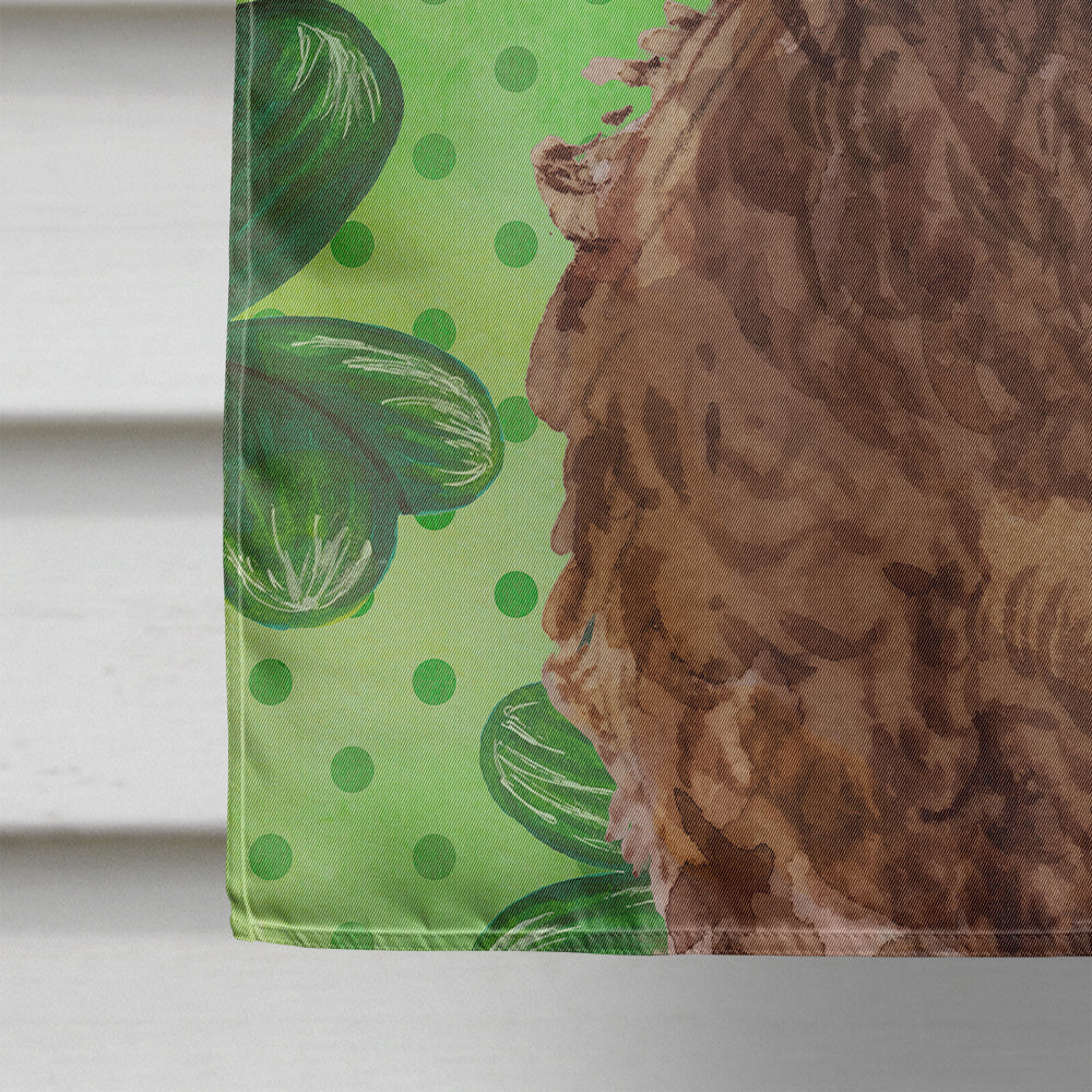 Brown Cockapoo St. Patrick's Flag Canvas House Size BB9549CHF