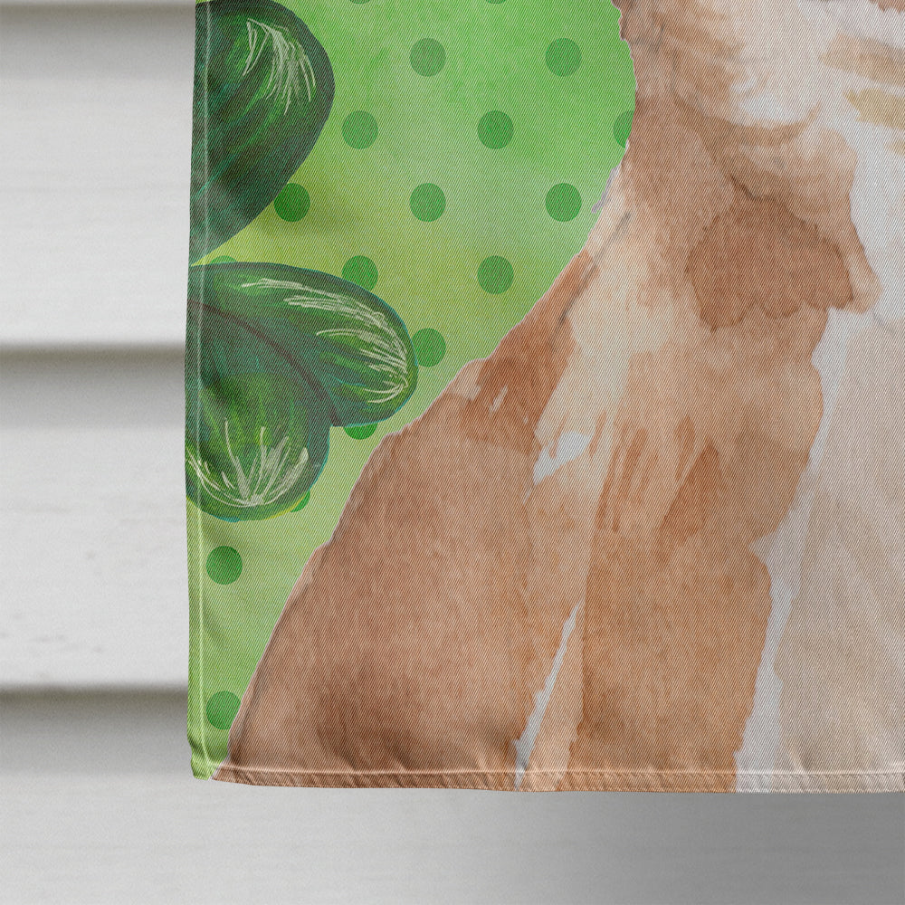 Chihuahua St. Patrick's Flag Canvas House Size BB9551CHF  the-store.com.