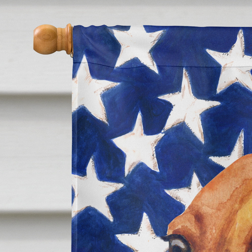 Dachshund Patriotic Flag Canvas House Size BB9652CHF  the-store.com.