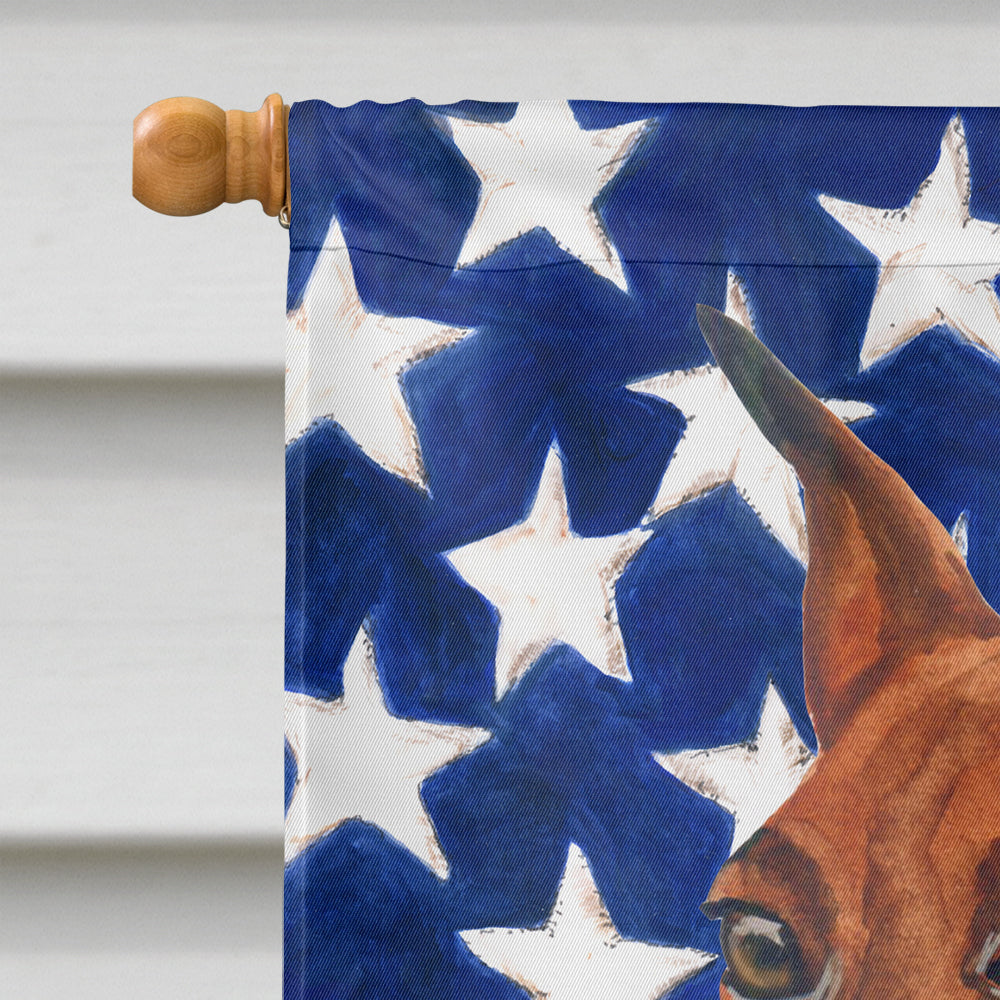 Miniature Pinscher Patriotic Flag Canvas House Size BB9656CHF  the-store.com.
